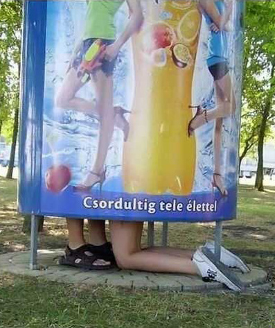 Noslēp desiņu
